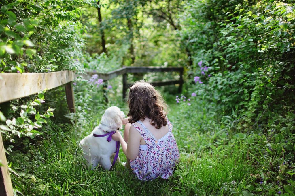 The Ultimate Dog-Friendly Guide to Dorset