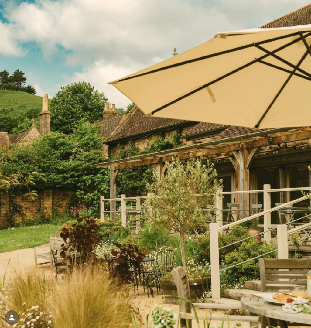 The Ultimate Dog-Friendly Guide to Dorset