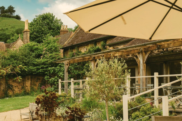 The Ultimate Dog-Friendly Guide to Dorset