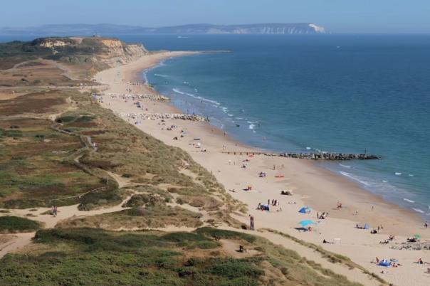 Danehurst Estate Agents | Independent Property Expertise Across Dorset
