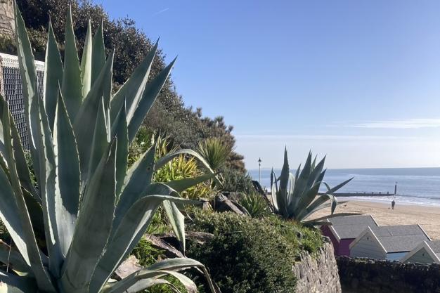Lunch, Shopping and Sea Air: The Perfect Westbourne Girls’ Day Out