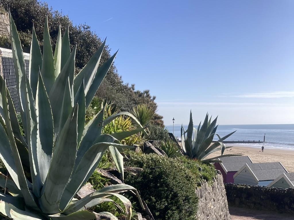 Lunch, Shopping and Sea Air: The Perfect Westbourne Girls’ Day Out