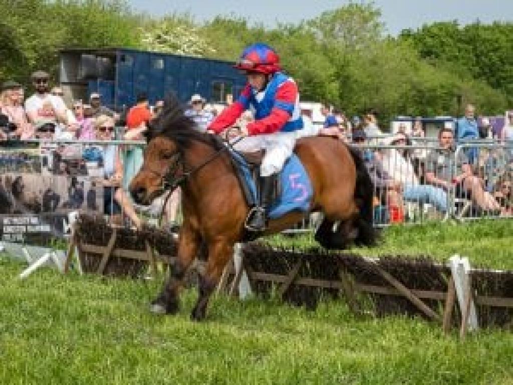 Dorset Spring Show | May 2027