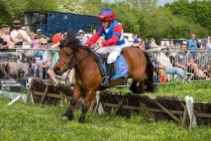 Dorset Spring Show | May 2027