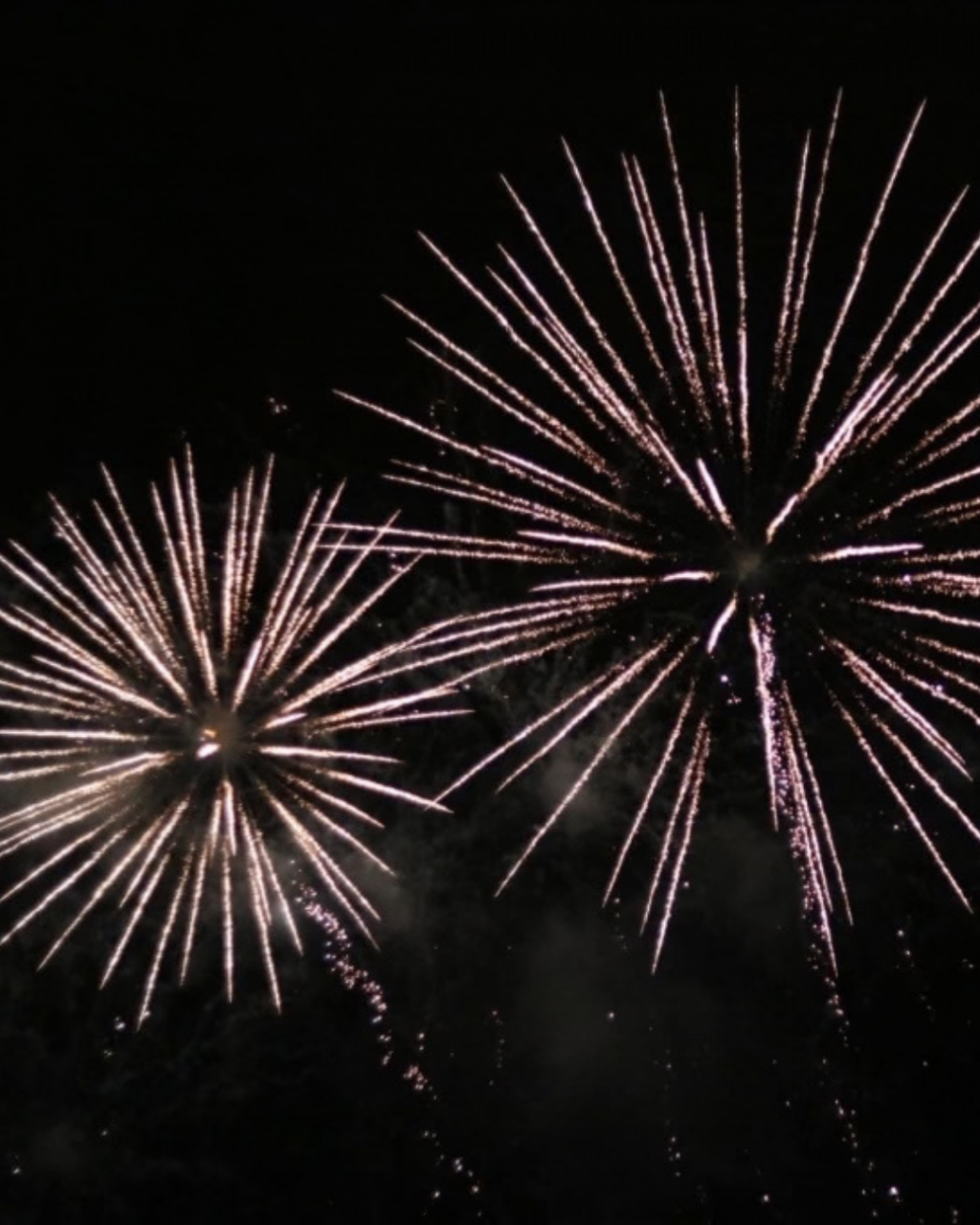 Firework Displays in Dorset 2026: Bonfire Night Events and Dates