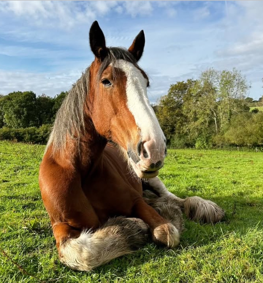 March Activities in Dorset