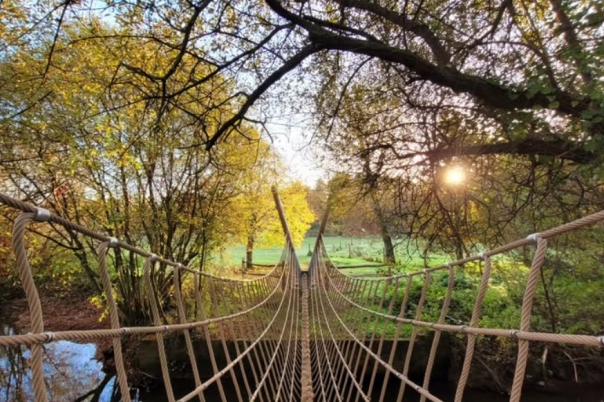 March Activities in Dorset
