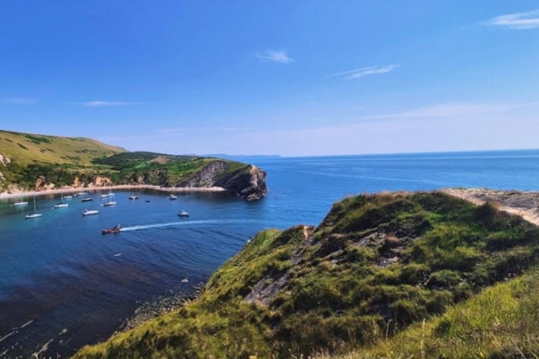 March Activities in Dorset