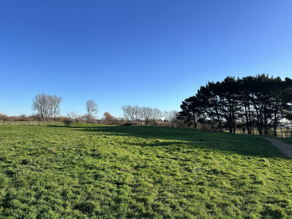 Stanpit Marsh Nature Reserve Walk