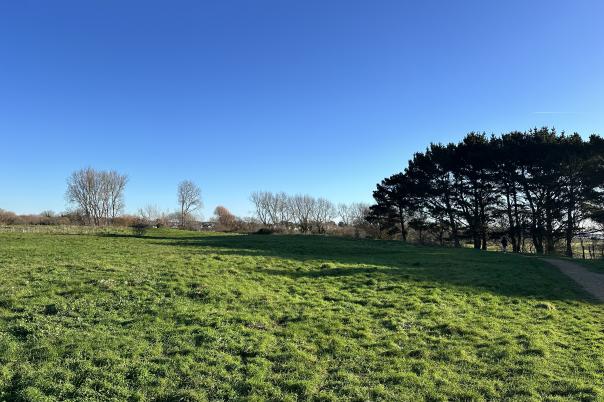 Stanpit Marsh Nature Reserve Walk