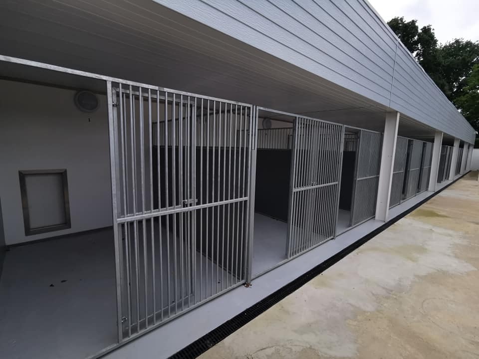 Country Kennels Dorset