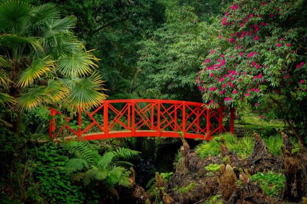Abbotsbury Subtropical Gardens - Botanical Gardens in Dorset