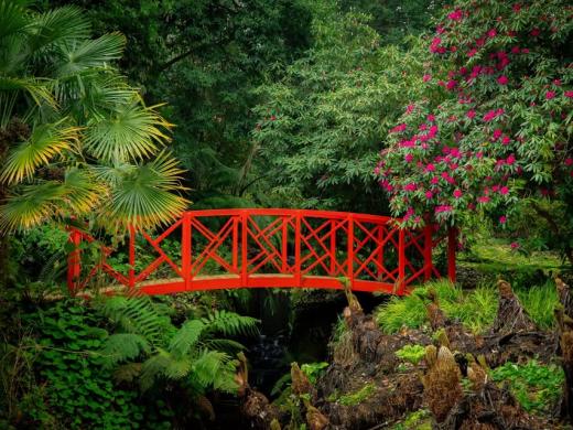 Abbotsbury Subtropical Gardens - Botanical Gardens in Dorset