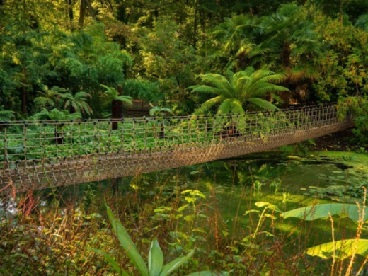 Abbotsbury Subtropical Gardens - Botanical Gardens in Dorset