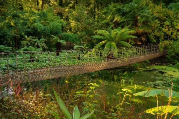 Abbotsbury Subtropical Gardens - Botanical Gardens in Dorset