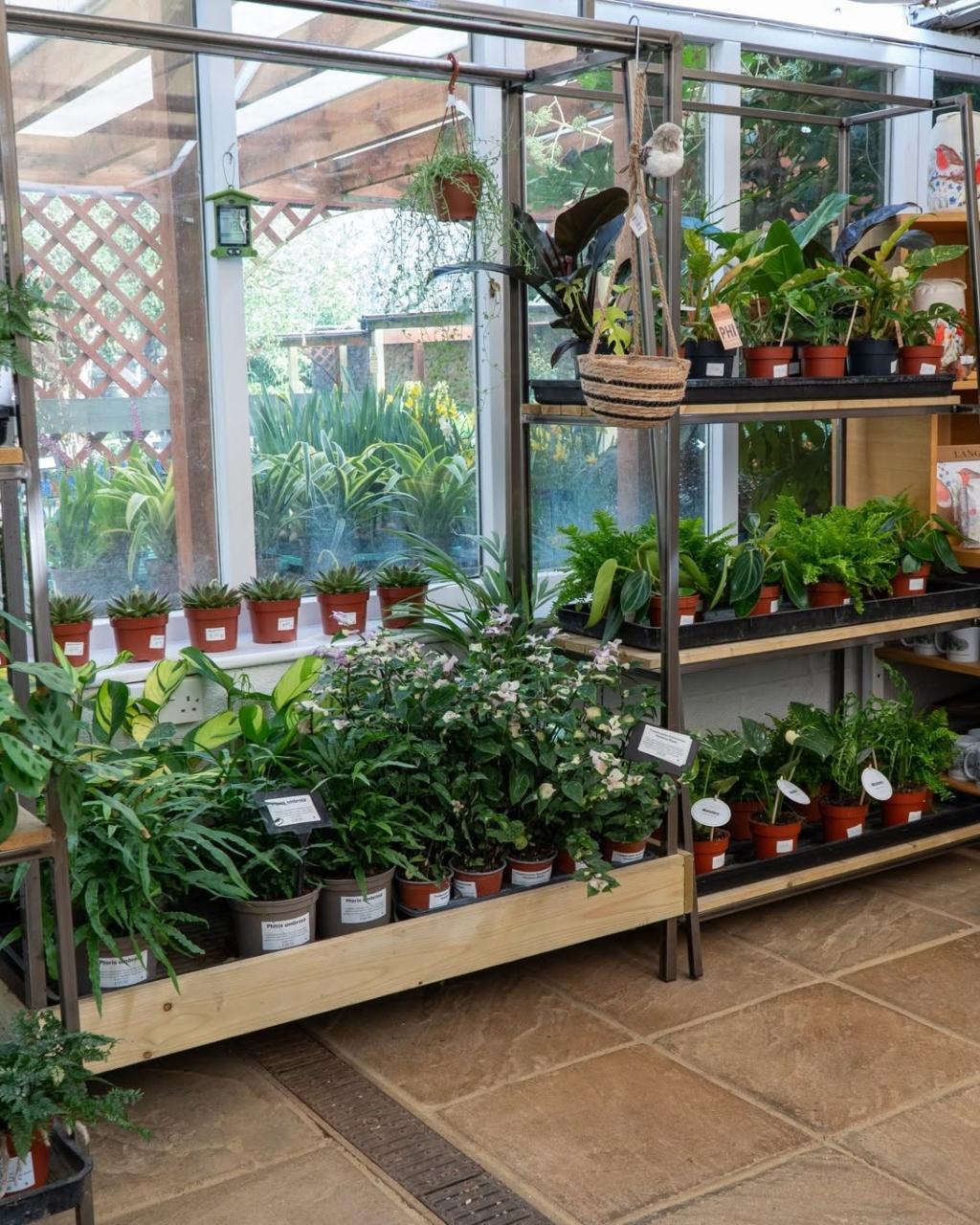 Abbotsbury Subtropical Gardens & Plant Centre