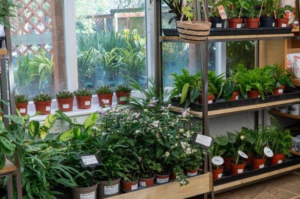 Abbotsbury Subtropical Gardens & Plant Centre