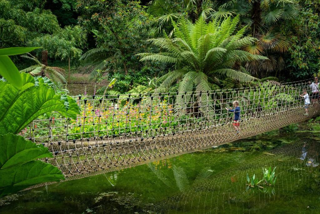 Abbotsbury Subtropical Gardens & Plant Centre