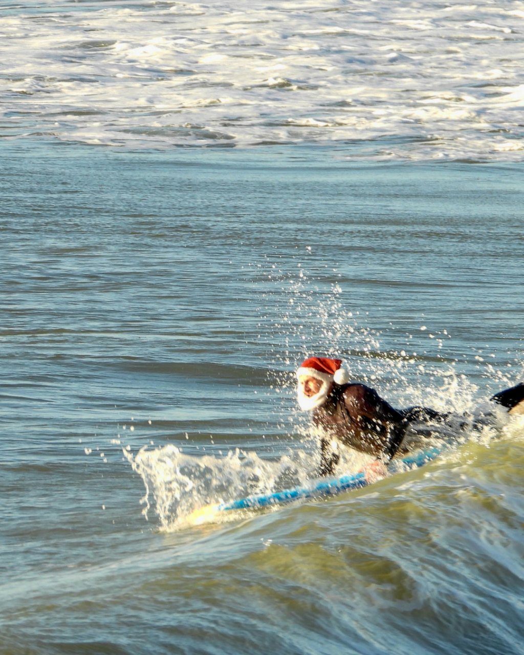 Things to Do in Bournemouth for University Students: 10 Ideas Beyond the Usual Night Out