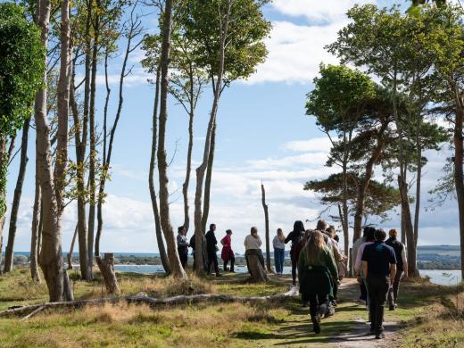Things to Do in Bournemouth for University Students: 10 Ideas Beyond the Usual Night Out
