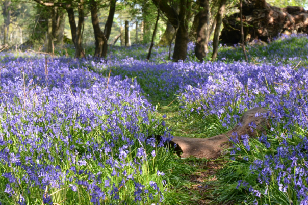 Things to Do in Bournemouth for University Students: 10 Ideas Beyond the Usual Night Out