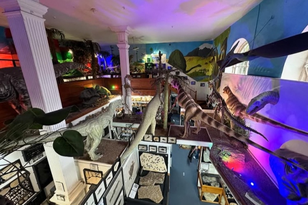 Guide to Museums in Dorset