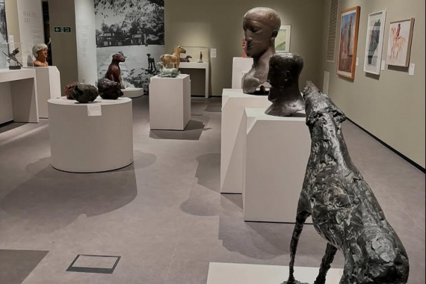 Guide to Museums in Dorset