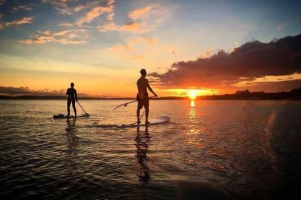 Exploring Poole Harbour: Europe's Largest Natural Harbour