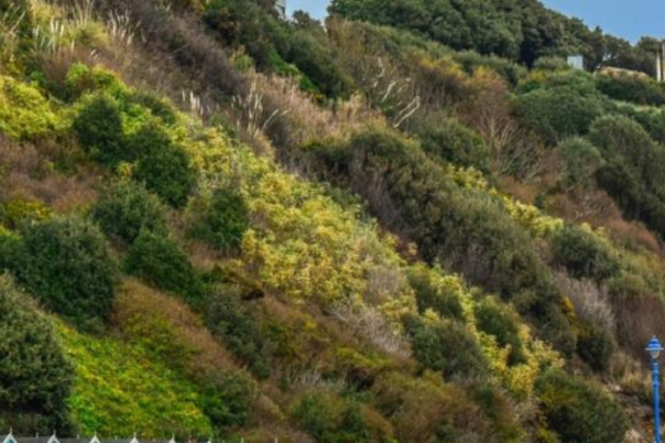 Where to Stay in Bournemouth: Best Areas for Your Trip.