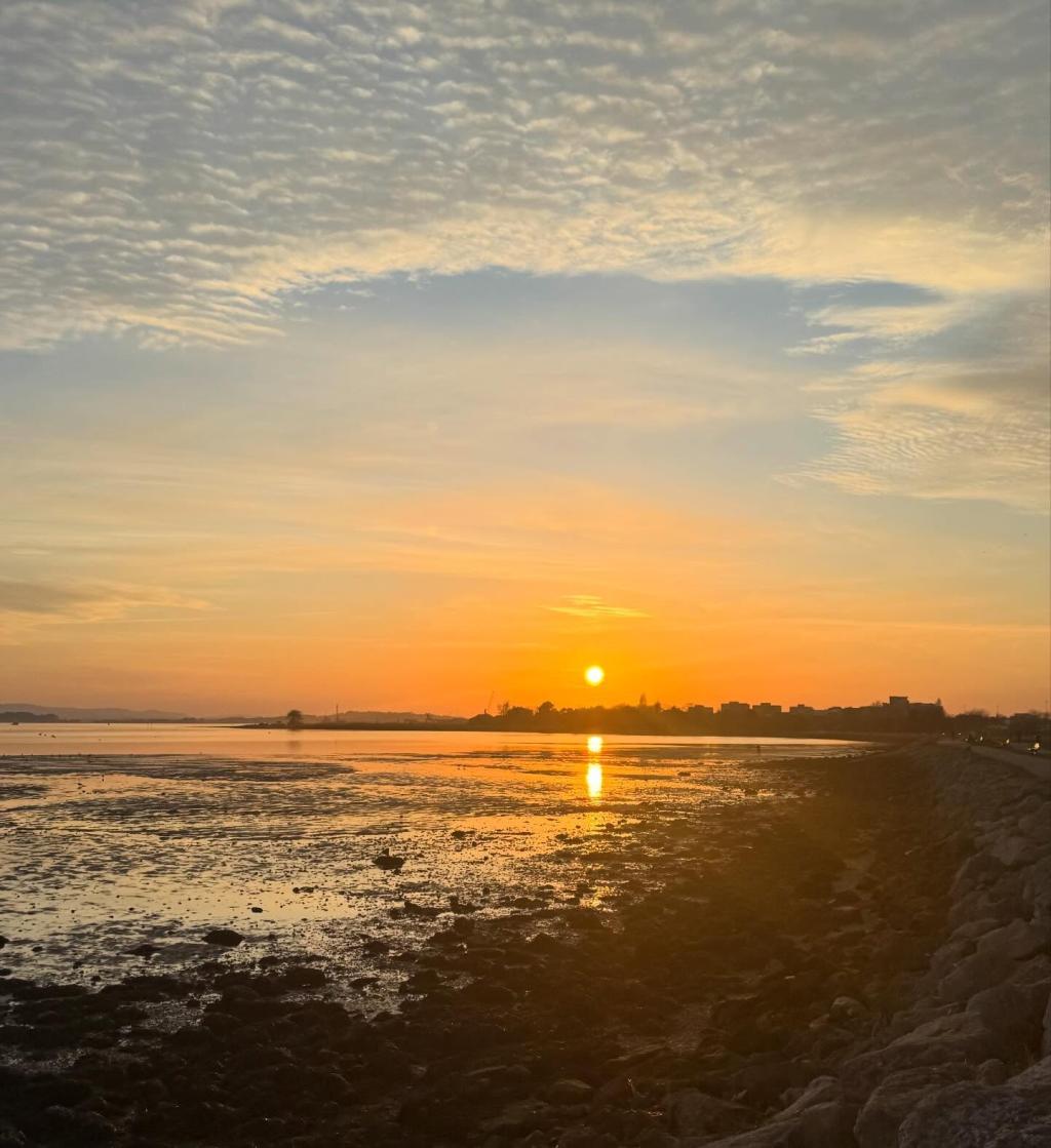 Poole Harbour Watersports: Lessons, Hire, Shop & Visitor Guide