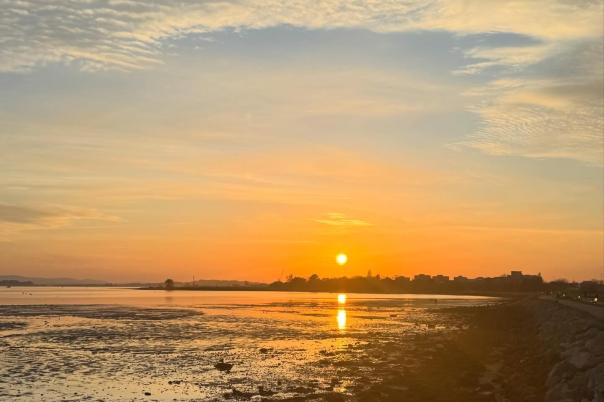 Poole Harbour Watersports: Lessons, Hire, Shop & Visitor Guide