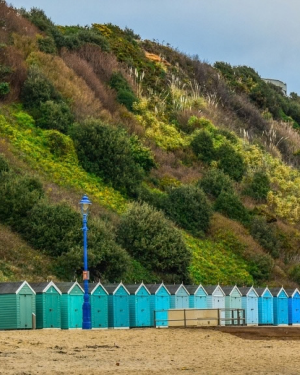 Free Things to Do in Bournemouth: Beaches, Gardens and Local Discoveries