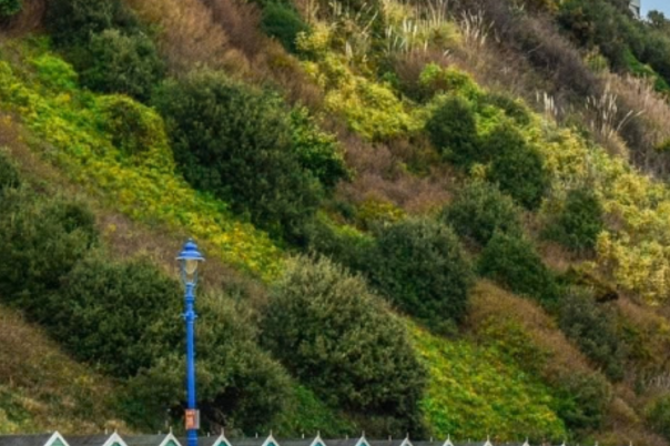 Free Things to Do in Bournemouth: Beaches, Gardens and Local Discoveries