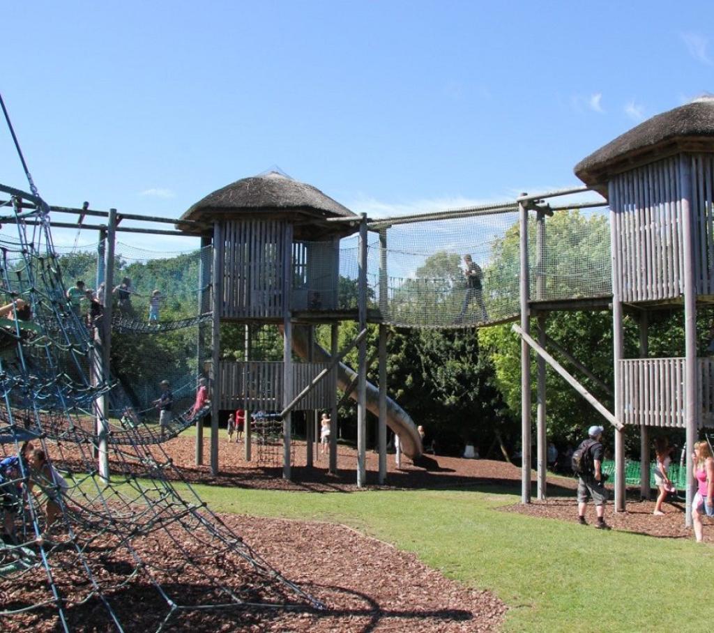 Monkey World - Dorset's Award-Winning, Primate Rescue Centre
