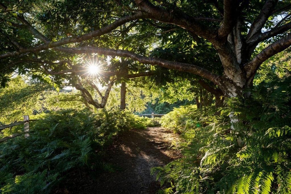 Five Memorable Date Ideas in Poole for Couples