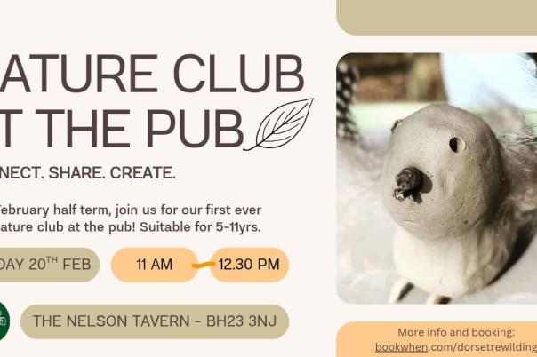 What's on in Christchurch this weekend?