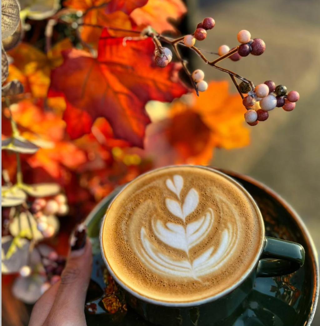 The Hutch Westbourne - Cafe, Bar & Party Venue