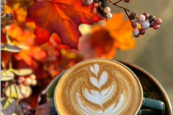 The Hutch Westbourne - Cafe, Bar & Party Venue