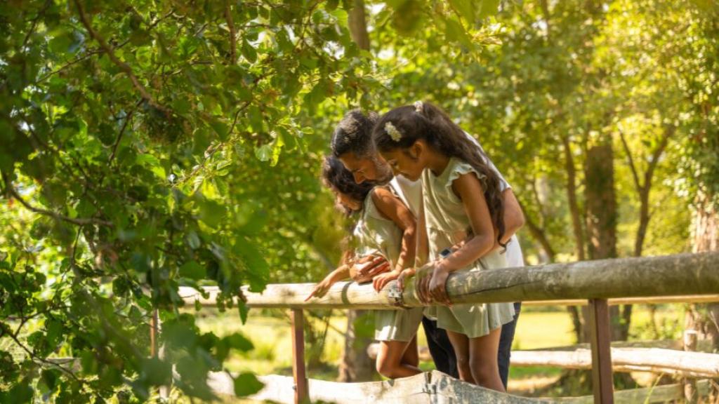 Farmer Palmer's Farm Park | Visitor Guide