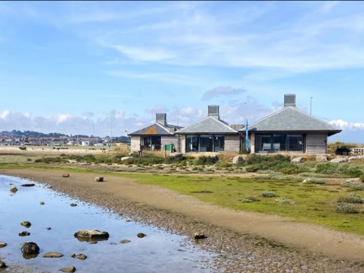 Wild Chesil Centre Portland