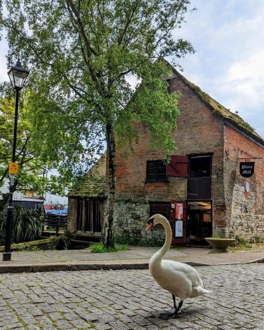 Where to Buy Art in Christchurch: Galleries and Creative Shops