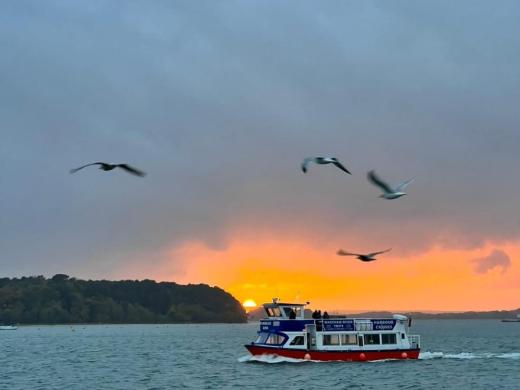 Greenslade Pleasure Boats Poole: Cruises, Prices & Visitor Guide