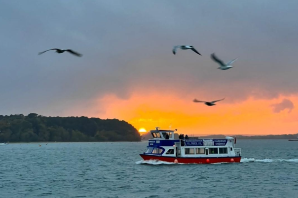 Greenslade Pleasure Boats Poole: Cruises, Prices & Visitor Guide