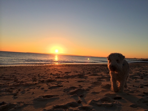 Guide to the Best Beaches in Christchurch, Dorset