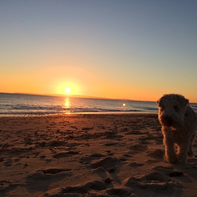 Guide to the Best Beaches in Christchurch, Dorset