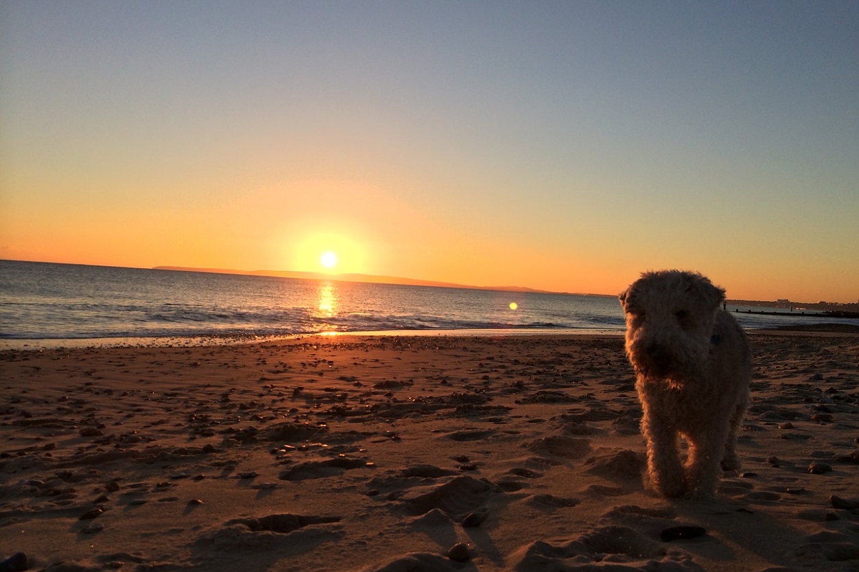 Guide to the Best Beaches in Christchurch, Dorset