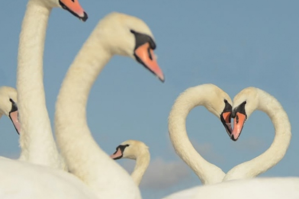 Popular Places to Visit in Dorset