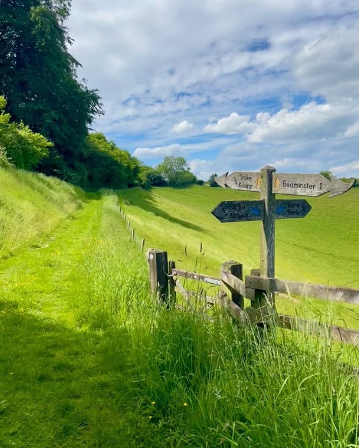 Ancient Trails in Dorset