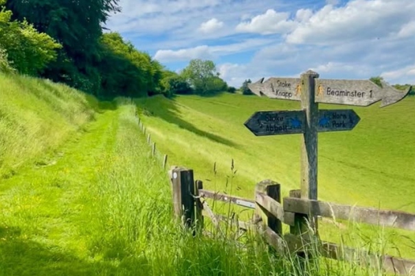 Ancient Trails in Dorset