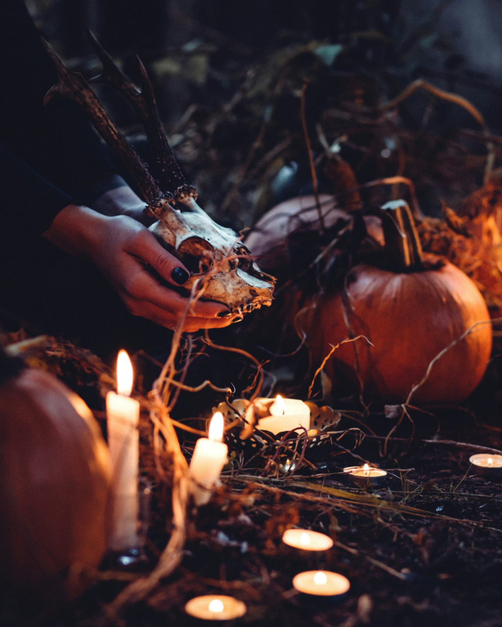 October in Poole: 7 Brilliant Things to See, Do and Enjoy